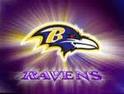 Baltimore Ravens